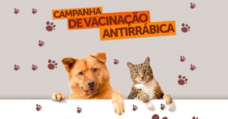 Paraíba quer vacinar mais de 761 mil cães e gatos contra raiva animal a partir de 24 de setembro