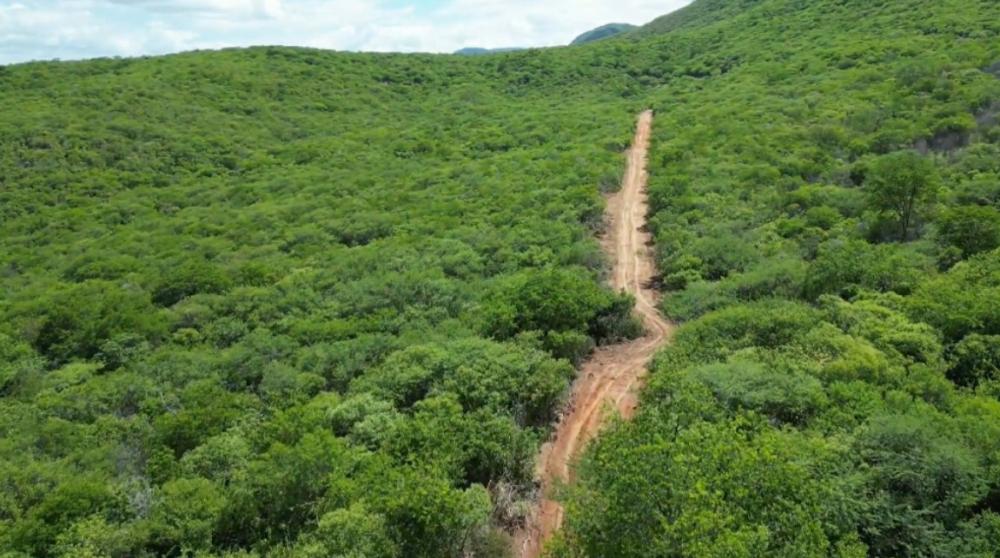 Diretor do DER - Patos diz como será a abertura da nova estrada entre São José do Bonfim e Teixeira