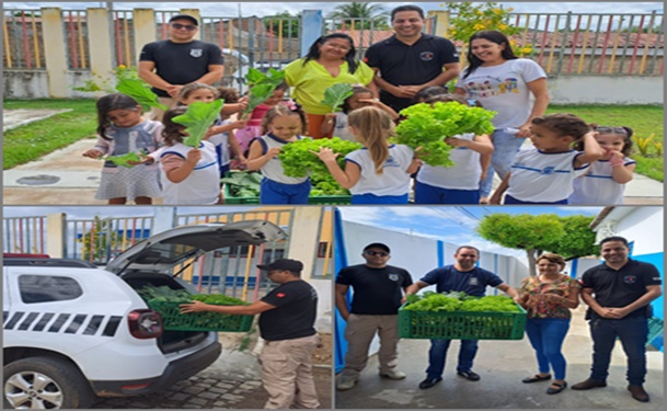 Projeto de ressocialização atinge a produção de duas toneladas de alimentos no Presídio Romero Nóbrega