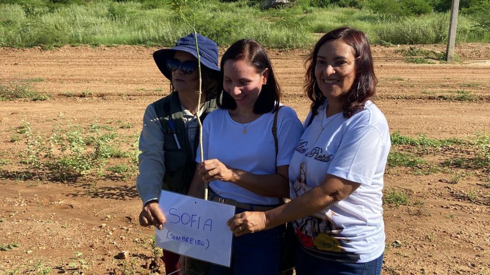 Projeto Árvores da Vida chega a mais de 100 árvores plantadas na Alça Sudeste, em Patos