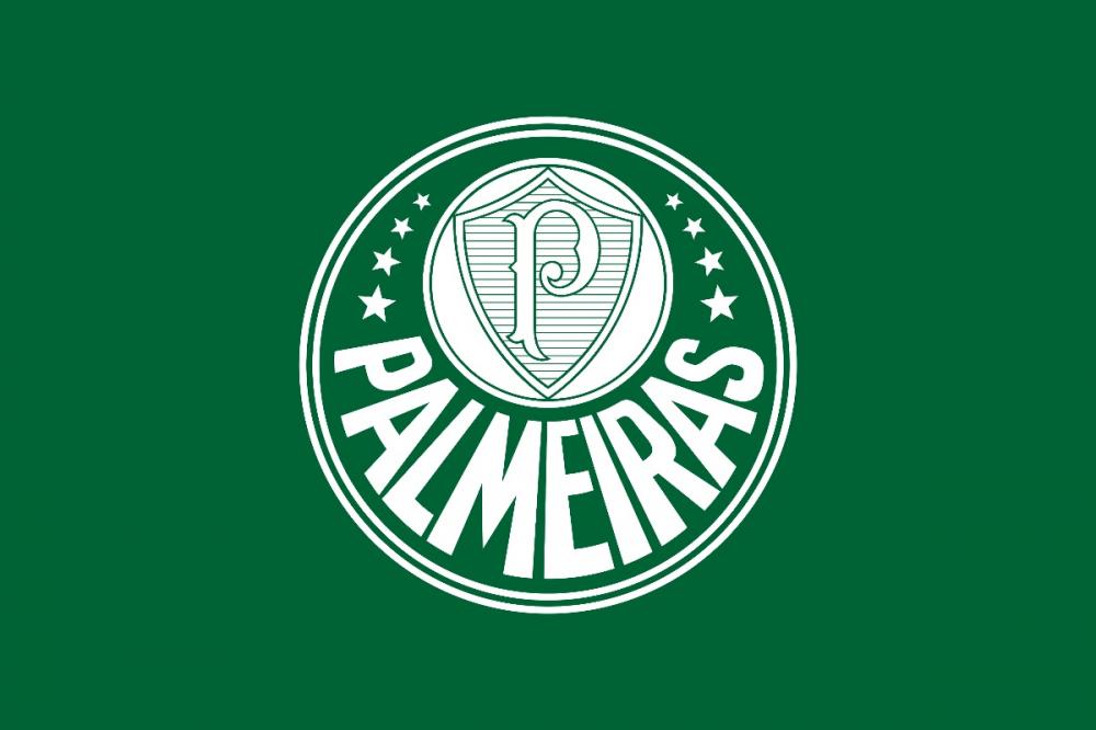 Palmeiras é campeão em arrancada heroica e conquista seu 12º título do  Brasileiro