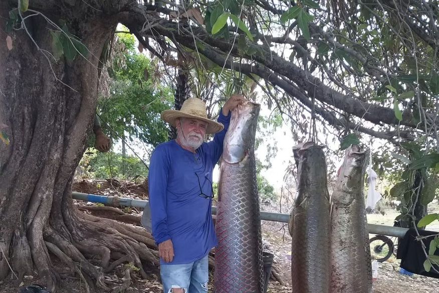  Pescadores de Coremas se espantam ao capturar seis pirarucus e peixes pesarem mais de meia tonelada