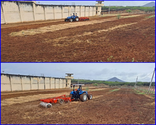 Cortes de terra são realizados na Penitenciária Procurador Romero Nóbrega para o plantio de feijão, abóbora e melancia