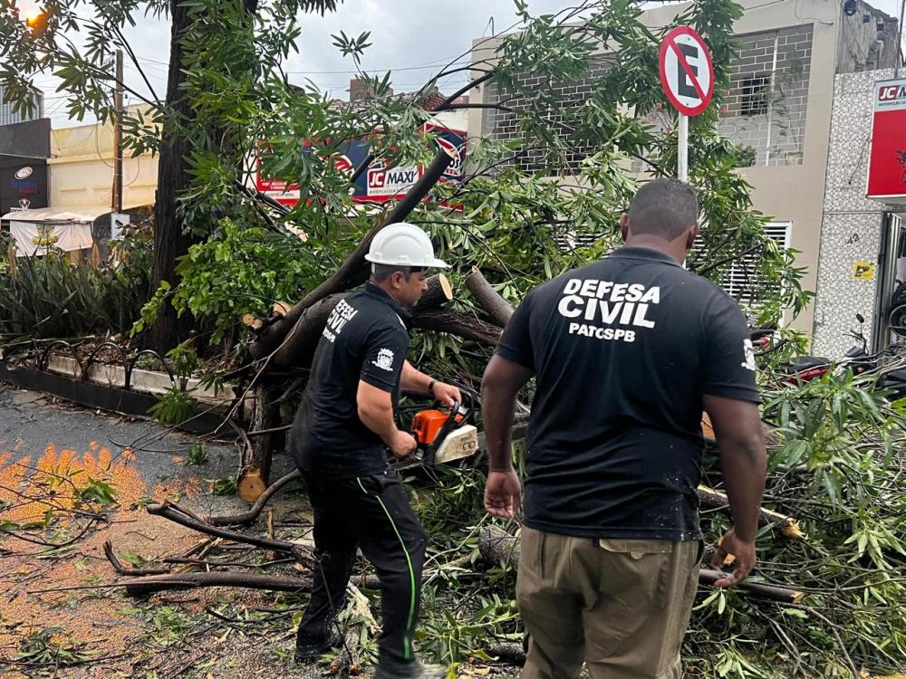  Defesa Civil de Patos age prontamente em meio a chuvas intensas e queda de árvores