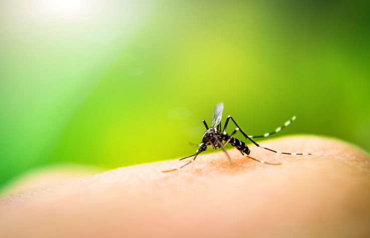 Terceira morte do ano por dengue na Paraíba é confirmada