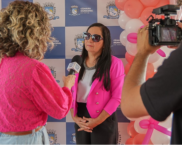 Câmara aprova PL criando Programa de Acolhimento às Mulheres no Pós-Parto