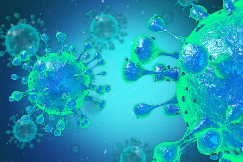 Paraíba confirma primeiro caso de Febre Oropouche, em João Pessoa; saiba o que é a doença