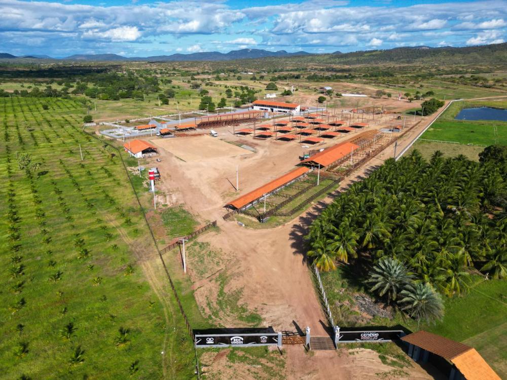 Começou nesta quarta a Expo Sousa; confira