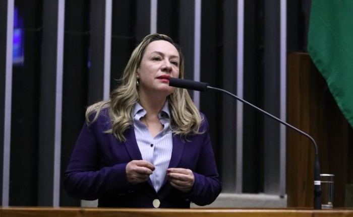 A relatora, deputada Delegada Adriana Accorsi, recomendou a aprovação com mudanças no texto original - (Foto: Bruno Spada/Câmara dos Deputados)