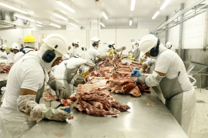 Aproveitamento racional desses subprodutos pode impactar na preservação ambiental - (Foto: Bruno Cecim/Agência Pará)