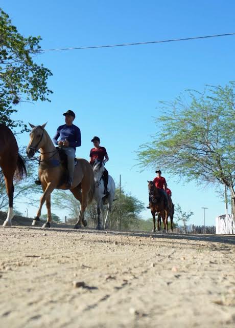 Casos notificados de câncer relacionados ao trabalho crescem mais de 200% na Paraíba, afirma MPT
