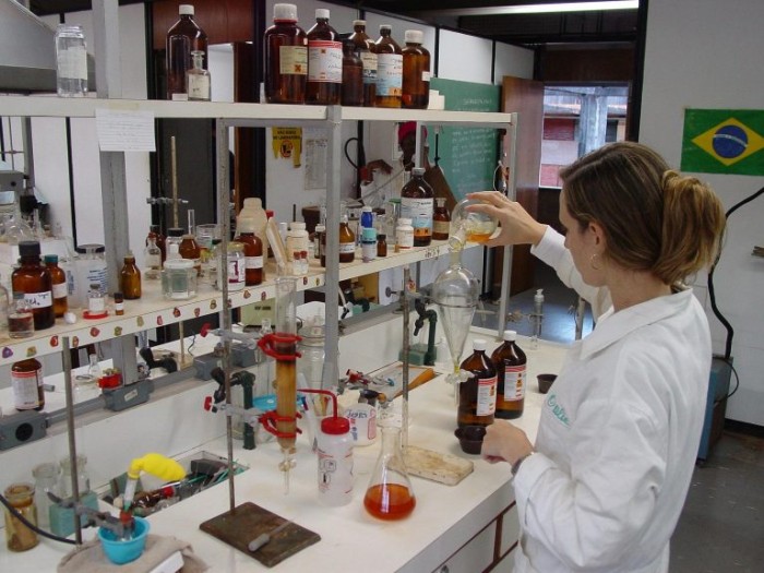 Cerca de 90% da ciência nacional é produzida por pós-graduandos - (Foto: Daiane Souza/Universidade de Brasília)