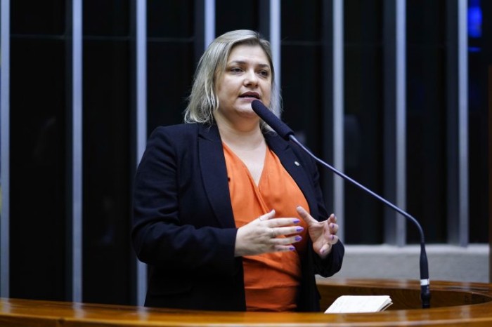 Luciene Cavalcante é a autora do requerimento para a realização da audiência - (Foto: Pablo Valadares / Câmara dos Deputados)