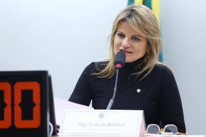 Deputada Flávia Morais, relatora da proposta - (Foto: Vinicius Loures/Câmara dos Deputados)