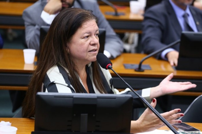 Laura Carneiro apresentou parecer favorável - (Foto: Vinicius Loures/Câmara dos Deputados)