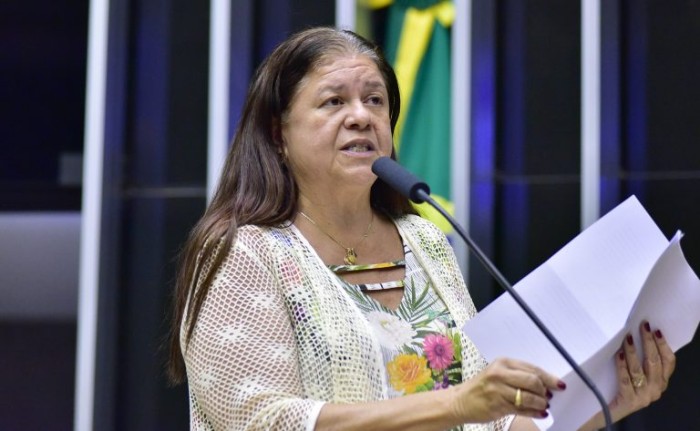 Laura Carneiro, relatora - (Foto: Zeca Ribeiro / Câmara dos Deputados)