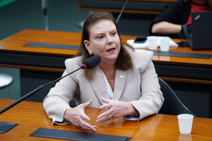 Fernanda Pessoa recomendou a aprovação de substitutivo - (Foto: Pablo Valadares/Câmara dos Deputados)