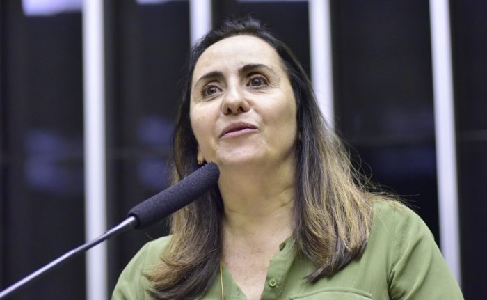 Adriana Ventura é a autora do requerimento para a realização da audiência - (Foto: Zeca Ribeiro / Câmara dos Deputados)