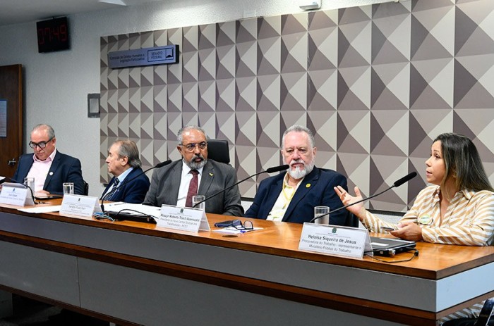 A audiência pública na CDH foi presidida pelo senador Paulo Paim - Foto: Geraldo Magela/Agência Senado