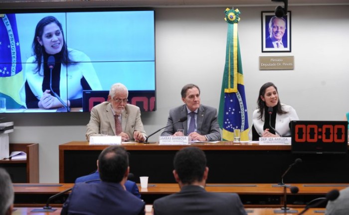 Renato Araujo/Câmara dos Deputados