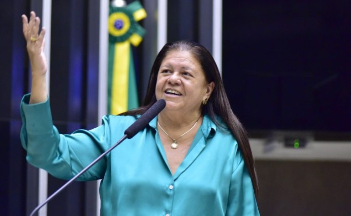 Zeca Ribeiro / Câmara dos Deputados