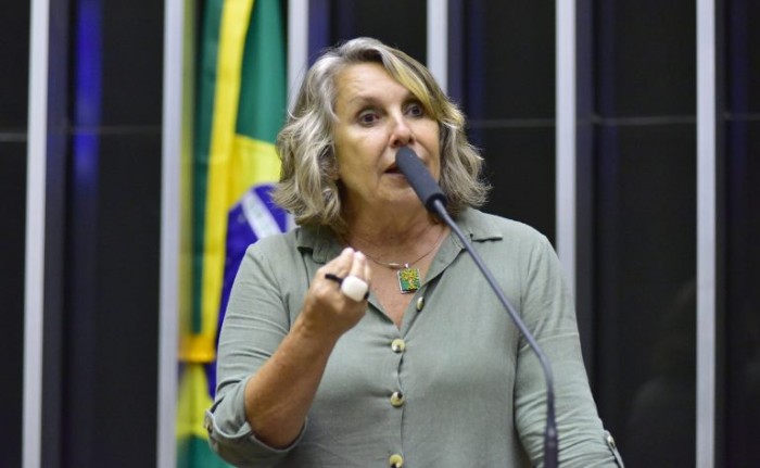 Zeca Ribeiro / Câmara dos Deputados