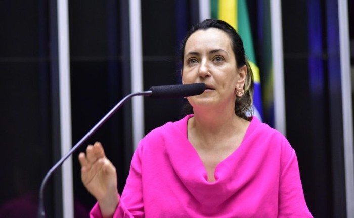 Zeca Ribeiro/Câmara dos Deputados